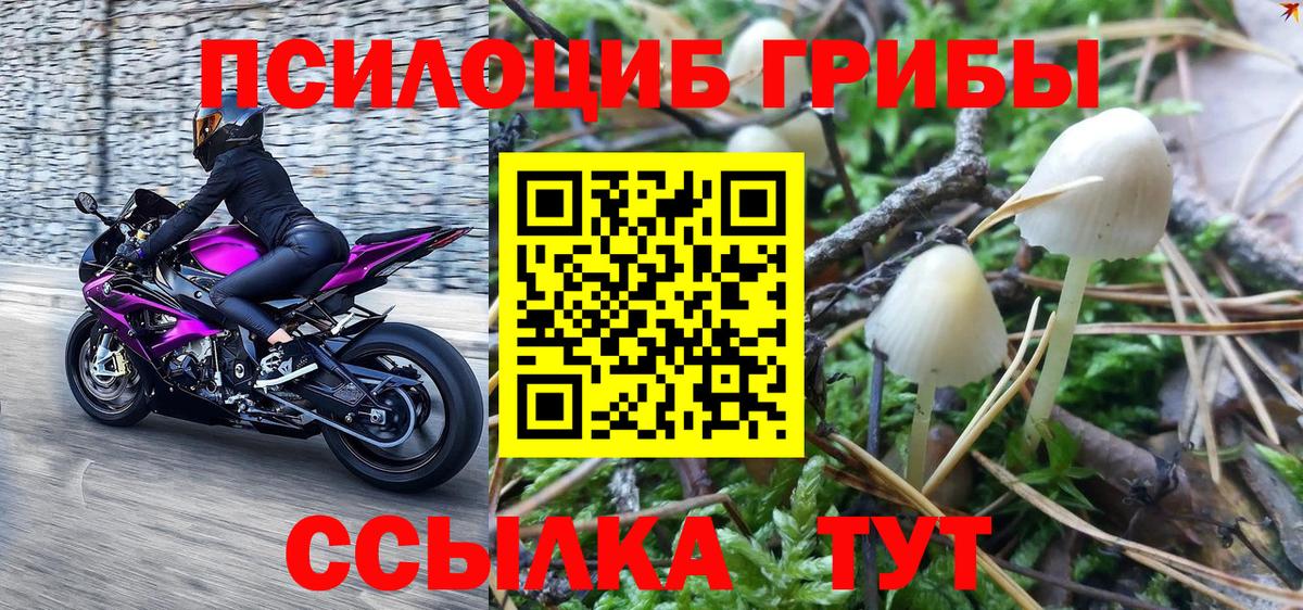 Бугуруслан  Галлюциногенные грибы Cubensis  Вход с VPN 